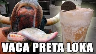 Vaca Preta Loka (Parte II)