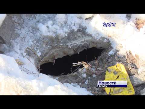 В бердской многоэтажке победили сырость, но опасаются потопа