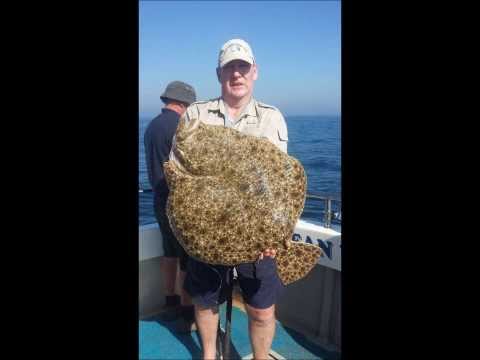 Turbot and Brill Fishing
