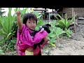 SURFER - The Distant Shores Movie