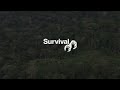 Uncontacted Amazon Tribe: First ever aerial footage
