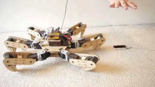 Leap Motion Hexapod