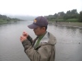 Coho Salmon Fishing