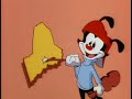 Wakko's 50 State Capitols
