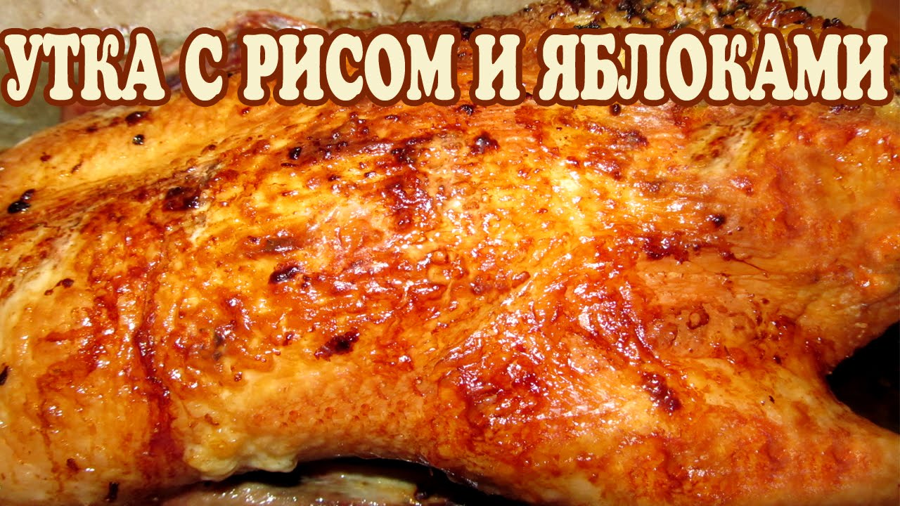 Утка с рисом и яблоками пошаговые фото Утка с рисом и яблоками пошаговые фото