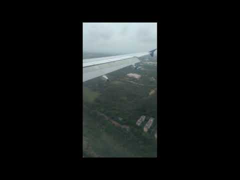 Fly funny video.