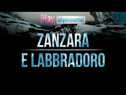 Zanzara and Labbradoro'
