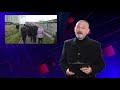 News of Tsarskoe Selo. November, 17, 2017