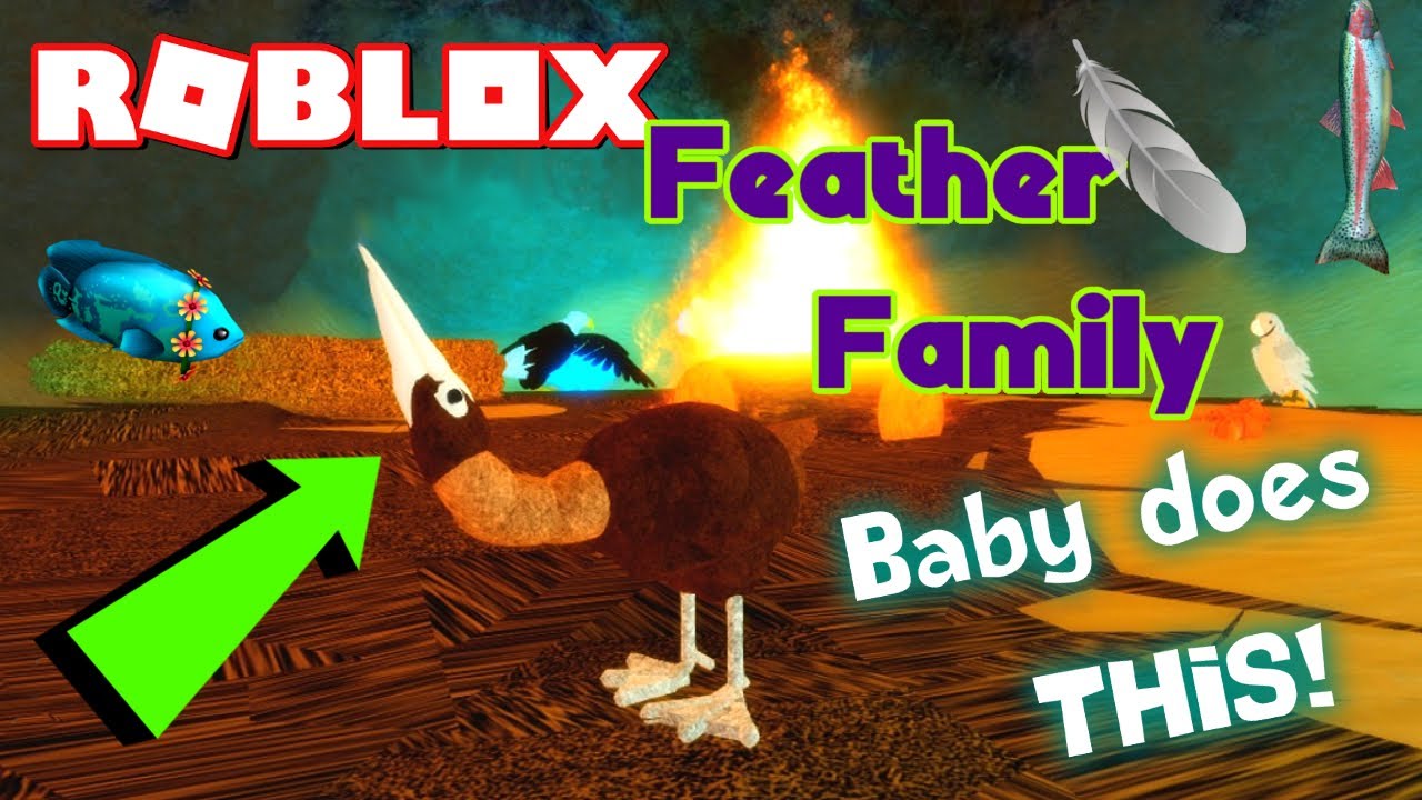 Feather Family Albatross