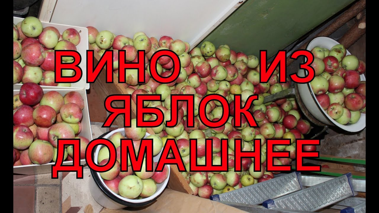 Как сделать домашнее вино из яблок в домашних условиях Как сделать домашнее вино из яблок в домашних условиях