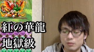 パズドラ【紅の華龍】地獄級　キルアPT （コスケが解説攻略）