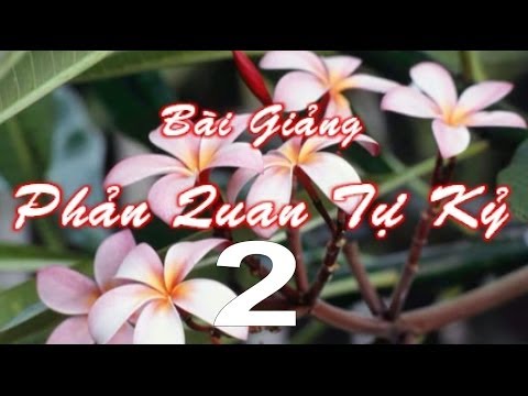 Phản Quan Tự Kỷ (Kỳ 2)