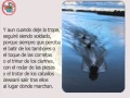 Poema: Soy Soldado Poema: Soy Soldado