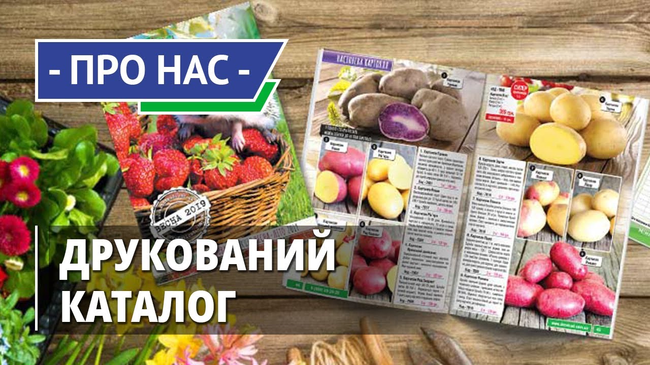 Цветок из камня на горке Цветок из камня на горке