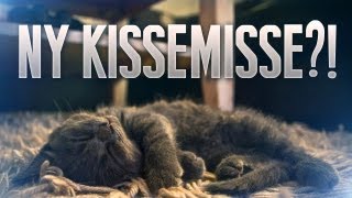 NY KISSEMISSE?!