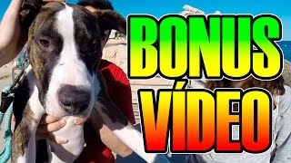 [BONUS VÍDEO] | LOLA Y SUSTO A SOFY =D | Josemi