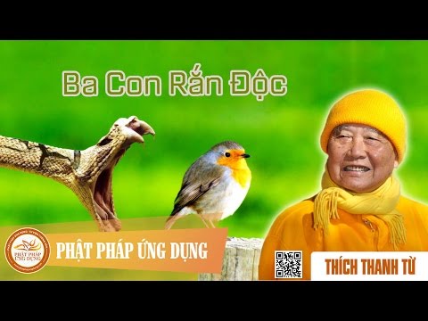 Ba Con Rắn Độc