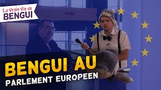 Bengui au Parlement européen (La Vraie Vie de Bengui)