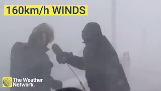 Reporters blown off-camera during live blizzard update