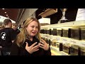 The International Betta Competition - magnificent fighting fish on show