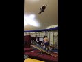 David and Steph Teeterboard training