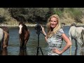 Trailer for America's Wild Horses, the Documentary.