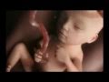 Do You Know How You Were Born? The Most Viewed Video On 