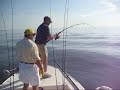 Fishing Giant Jack Crevalle Nearshore Amelia Island Fl
