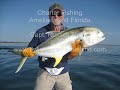 Fishing Giant Jack Crevalle Nearshore Amelia Island Fl