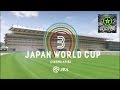 This is.. Japan World Cup 3