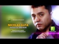 Nicolae Guta - Am baiatul printisor (Manele Gratis) 2014