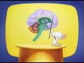 pinky and the brain-brainstem