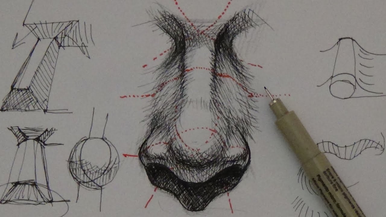 Pen & Ink Drawing Tutorials | How to draw a realistic nose - YouTube