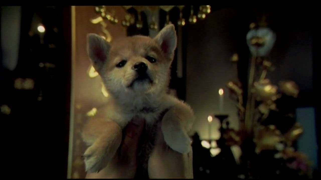 hachi a dogs tale youtube trailer
