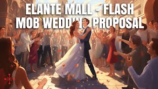 Amazing Flash Mob Wedding Proposal Elante Mall, Chandigarh, India