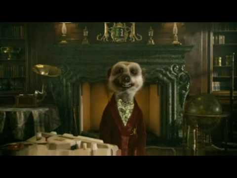 Compare The Meerkat Advert NEW (Compare The Market), Cheap Car Insurance Compare The Meerkat Advert NEW (Compare The Market), Cheap Car Insurance