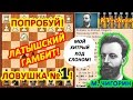 Чигорин расставил шахматную ловушку в дебюте Латышский гамбит! https://youtu.be/t0asTxJMxJQ