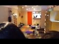Neko Jalala Cafe (Cat Cafe) Tokyo