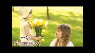 Mothers Day Flowers from $19.99 | Bloomex.ca