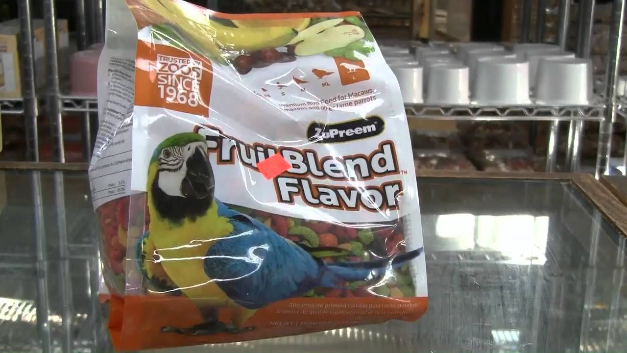 cage world parrot store in depth look at the exotic cage world parrot store in depth look at the exotic