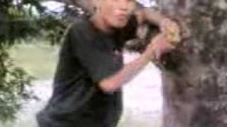 Ang agimat Ng mangga