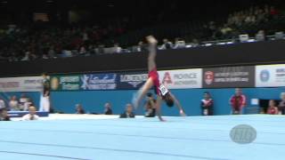 Kenzo SHIRAI (JPN) - 2013 Artistic Worlds