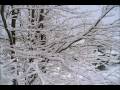 Chanson de Noel - Vive le Vent - Ginette Reno