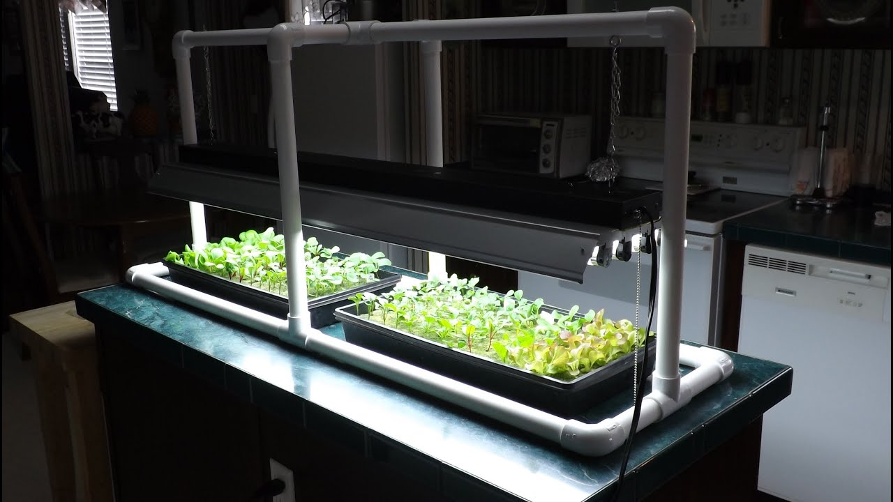 grow hydroponic stand pvc seed starting simple seeds step setups