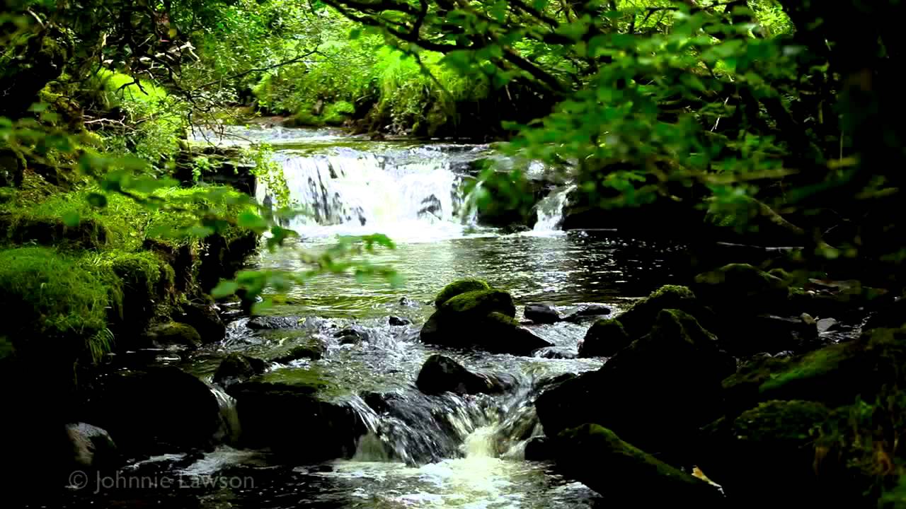 200mins. Classical Music for Studying-Relaxing Study Sounds-Sleep Relaxation 200mins. Classical Music for Studying-Relaxing Study Sounds-Sleep Relaxation