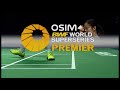 Final - WS - Li Xuerui vs Wang Shixian - 2013 Victor China Open