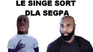 MAMADOU SEGPA : LE SINGE SORT DLA SEGPA