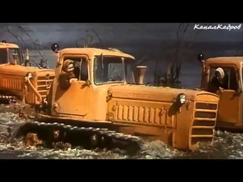 Трактор бизон видео Трактор бизон видео