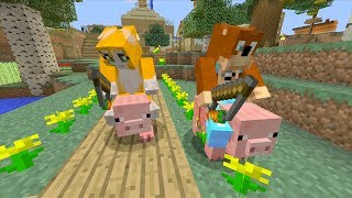 Minecraft Xbox - Pig Race [189]