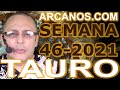 Video Horscopo Semanal TAURO  del 7 al 13 Noviembre 2021 (Semana 2021-46) (Lectura del Tarot)